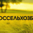 Рынок сити-фермерства в России вырос до 200 млн рублей  – РСХБ - Спасский район